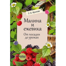 Малина и ежевика. От посадки до урожая