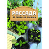 Рассада: от семян до посадки