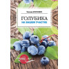 Голубика на вашем участке