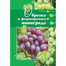 Обрезка и формировки винограда